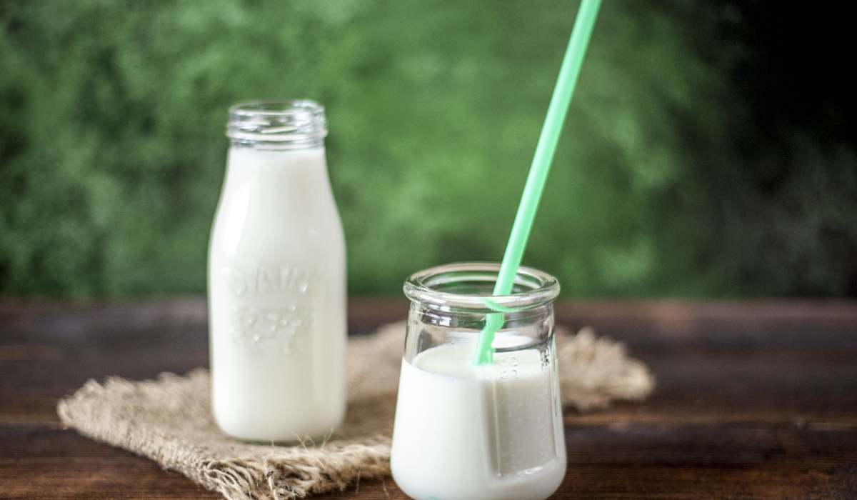 Guía del Yogurt Griego en Perú: Marcas, Precios y Dónde Comprar