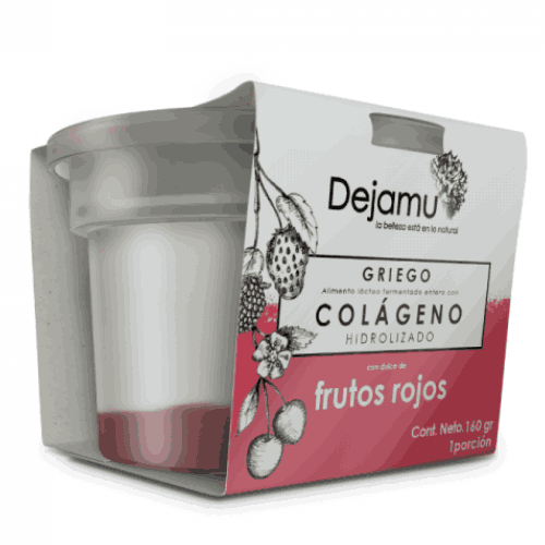 Receta: Frozen Yogurt de Frutos Rojos